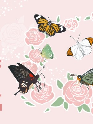 2019年三月蝴蝶生態特展暨DIY嘉年華