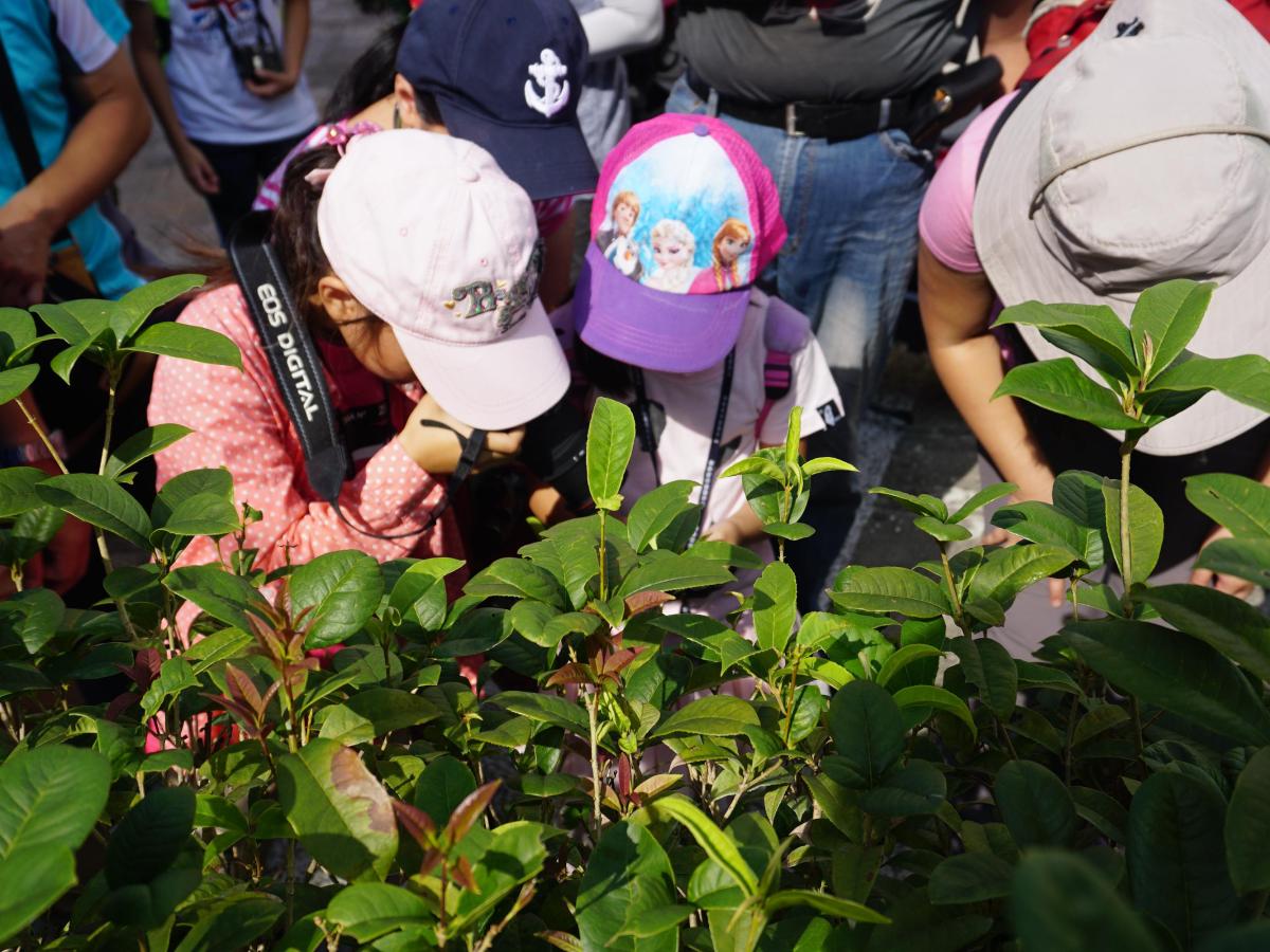 07/31(三)－08/04(日)五天四夜~ 蝴蝶兒童夏令營-北部班