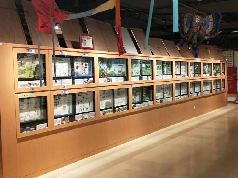 2021蝴蝶生態冬令營—蝴蝶宮大解密！ (招生不足，活動取消)