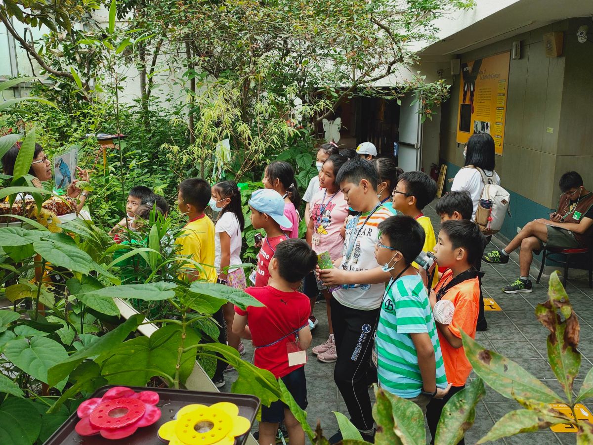 2019/07/01-02(一、二)蝴蝶保育夏令營