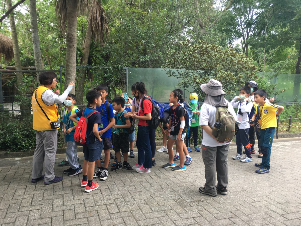 2020/08/02-03【週日、週一】蝴蝶生態兒童夏令營