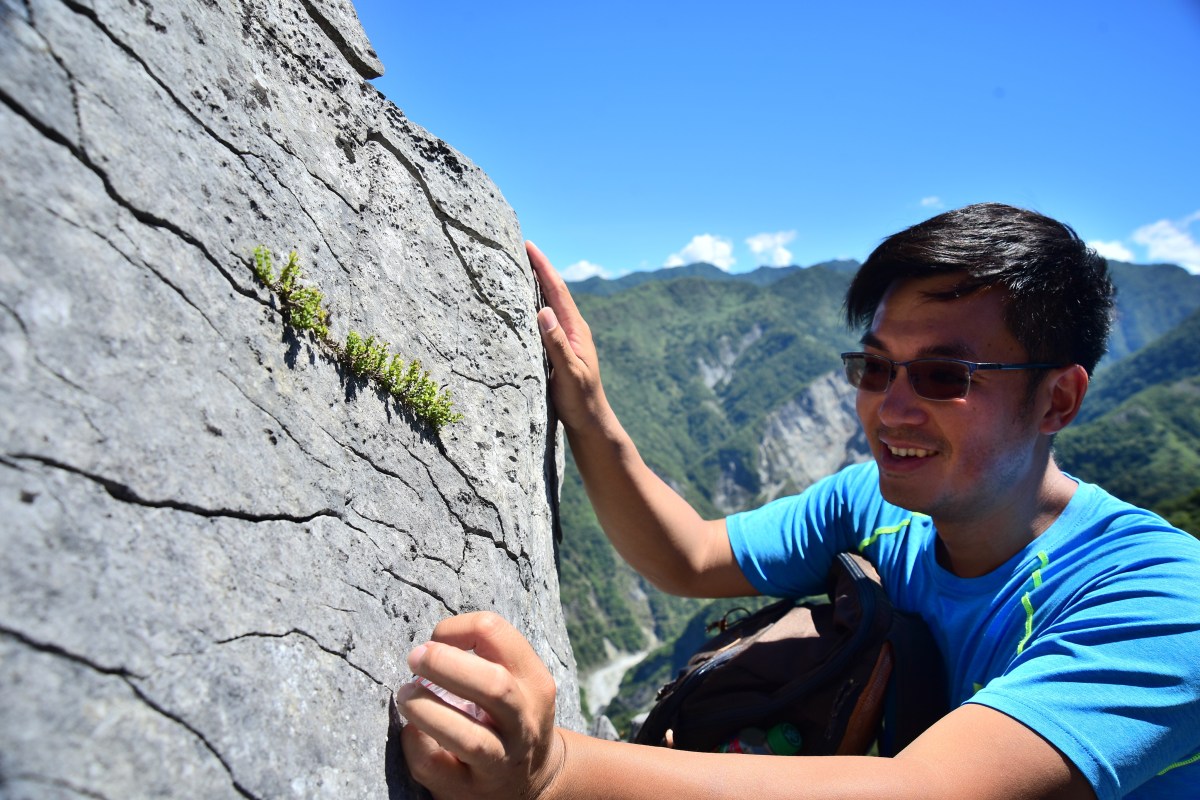 【蝶會】2022《線上課程》植物辨識線上課程