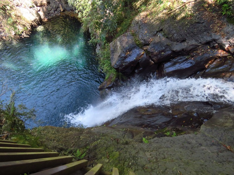 (活動取消)2022/05/21小烏來天空步道-觀瀑賞蝶趣