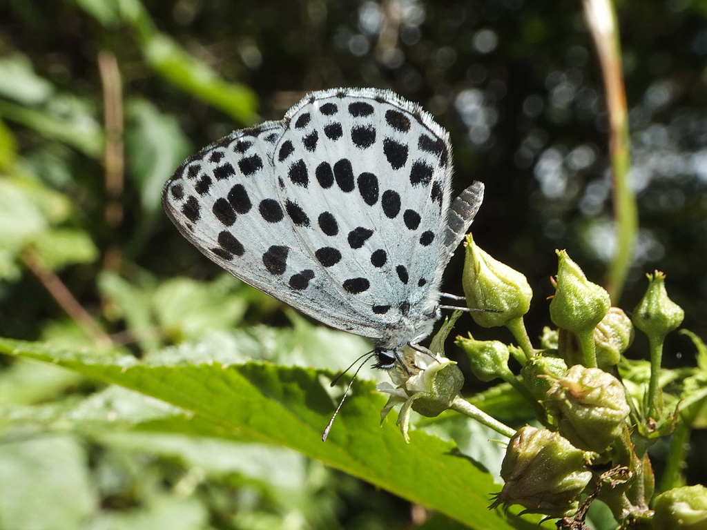 327939081_3308215736161926_8051619699138507147_n