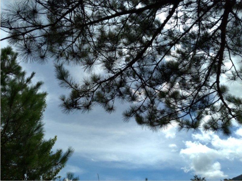 08/13~08/15極品秘境~合歡溪‧尋幽訪蝶趣