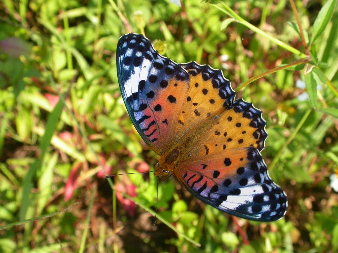 346126949_193615789863514_4787592861885244561_n