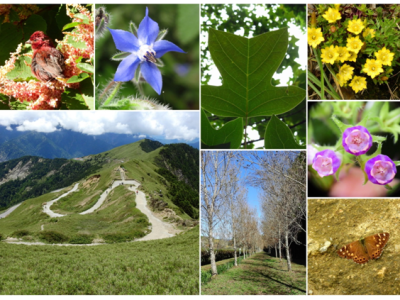 08/05~08/07呼吸~~中高海拔—上山觀峰行(活動人數不足 取消)