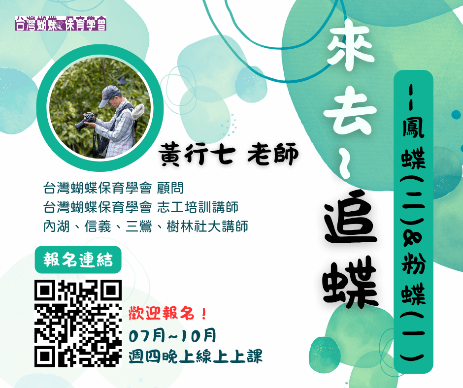 【蝶會】2025年《線上課程》來去~追蝶–鳳蝶(2)&粉蝶(1)