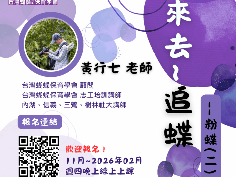 【蝶會】2025~2026年《線上課程》來去~追蝶–粉蝶(2)