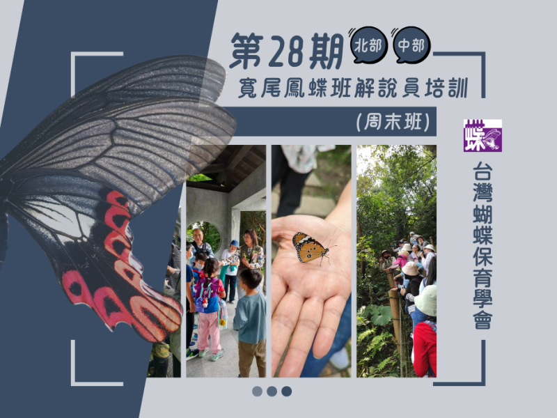第28期寬尾鳳蝶班解說員培訓(北部&中部)