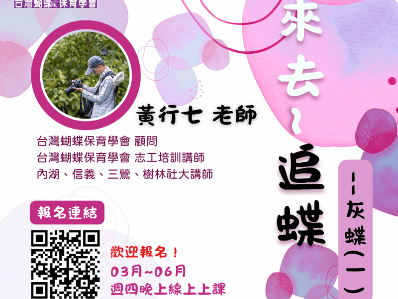 【蝶會】2026年《線上課程》來去~追蝶–灰蝶(1)