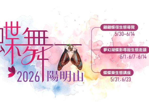 【活動】2026蝶舞陽明山-讓我們在陽明山與蝴蝶相遇！