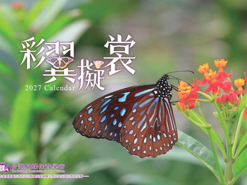 2027年桌曆《彩翼擬裳》開始預購啦~!