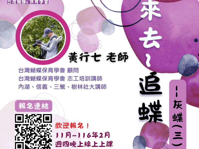 【蝶會】2026年《線上課程》來去~追蝶–灰蝶(3)
